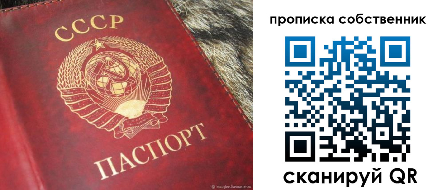 прописка в квартире в Вологодской области